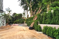 The Riviera Wongamat construction