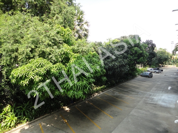 Jomtien Condotel&Village, Pattaya, Jomtien - photo, price, location map