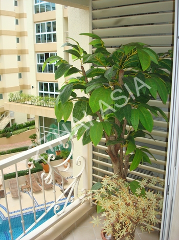 City Garden Pattaya, Pattaya, Central Pattaya - photo, price, location map