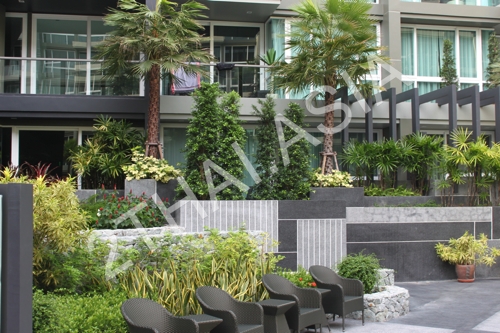 Apus Condominium, Pattaya, Central Pattaya - photo, price, location map