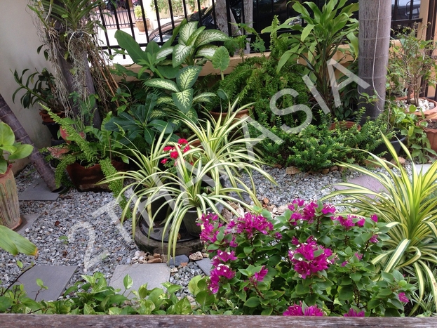 Classic Home 4, Pattaya, East Pattaya - photo, price, location map